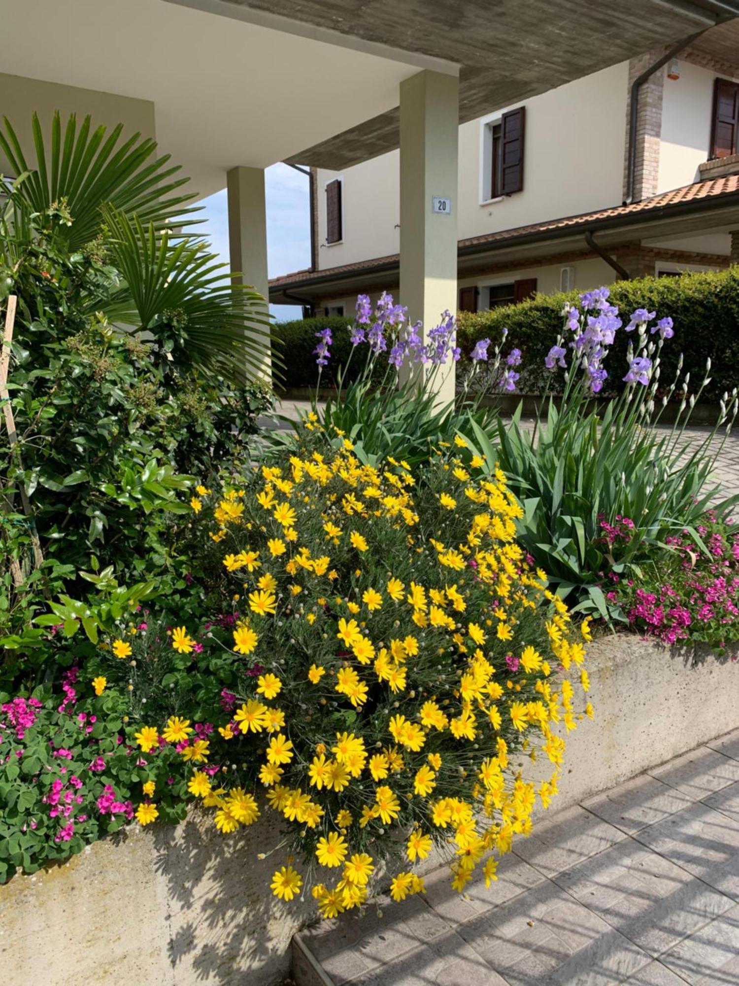 B&B La Salina Cannuzzo Exterior photo
